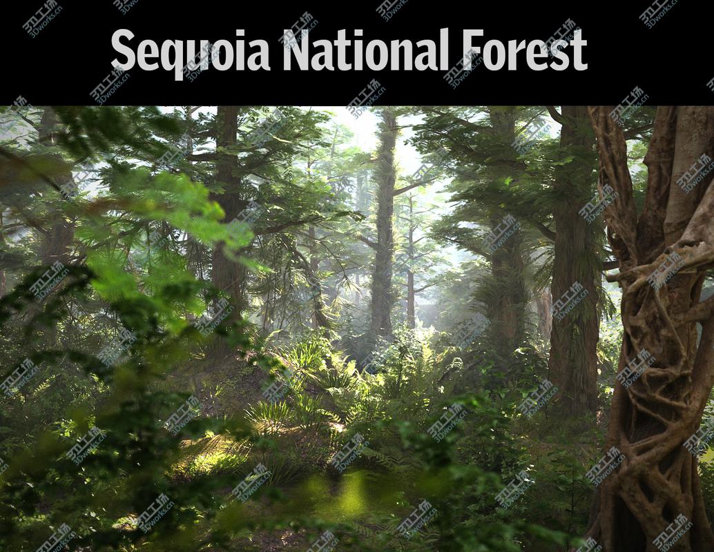 images/goods_img/20210113/Sequoia Forest HD 3D model/1.jpg